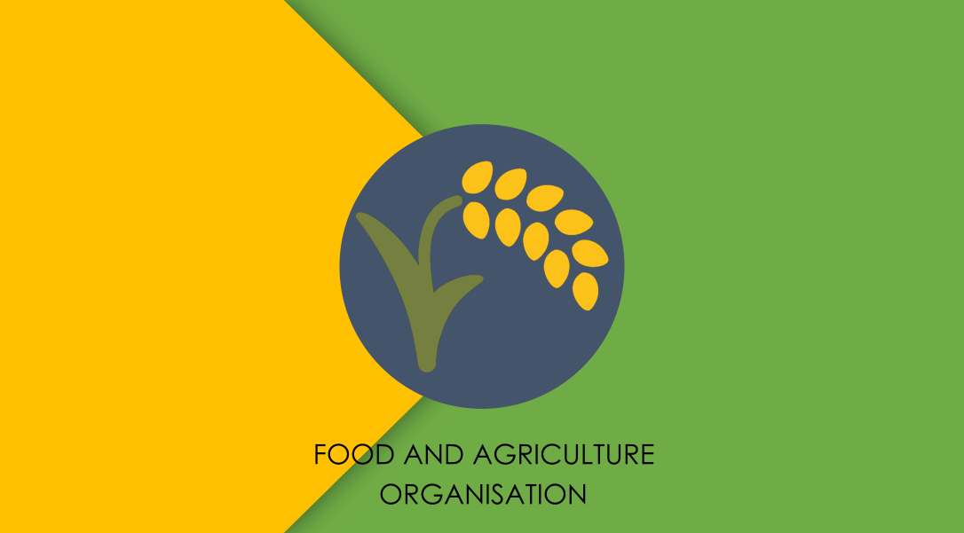 Food and Agriculture Organisation